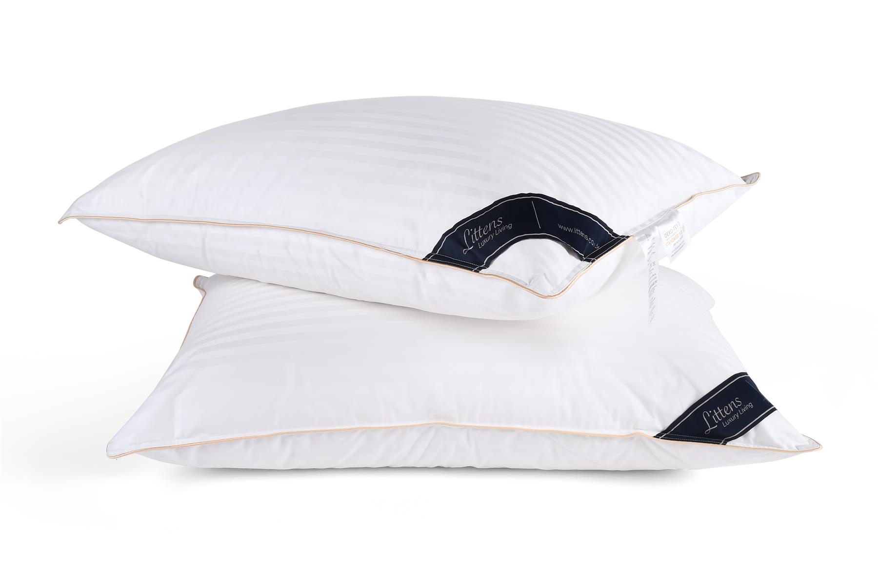 40cm x 80cm Euro Continental 100% Hungarian Goose Down Pair Pillows 16" x 32"