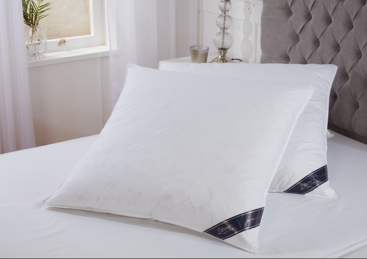 Square Euro Continental Goose Feather & Down Pair Pillows 80cm x 80cm