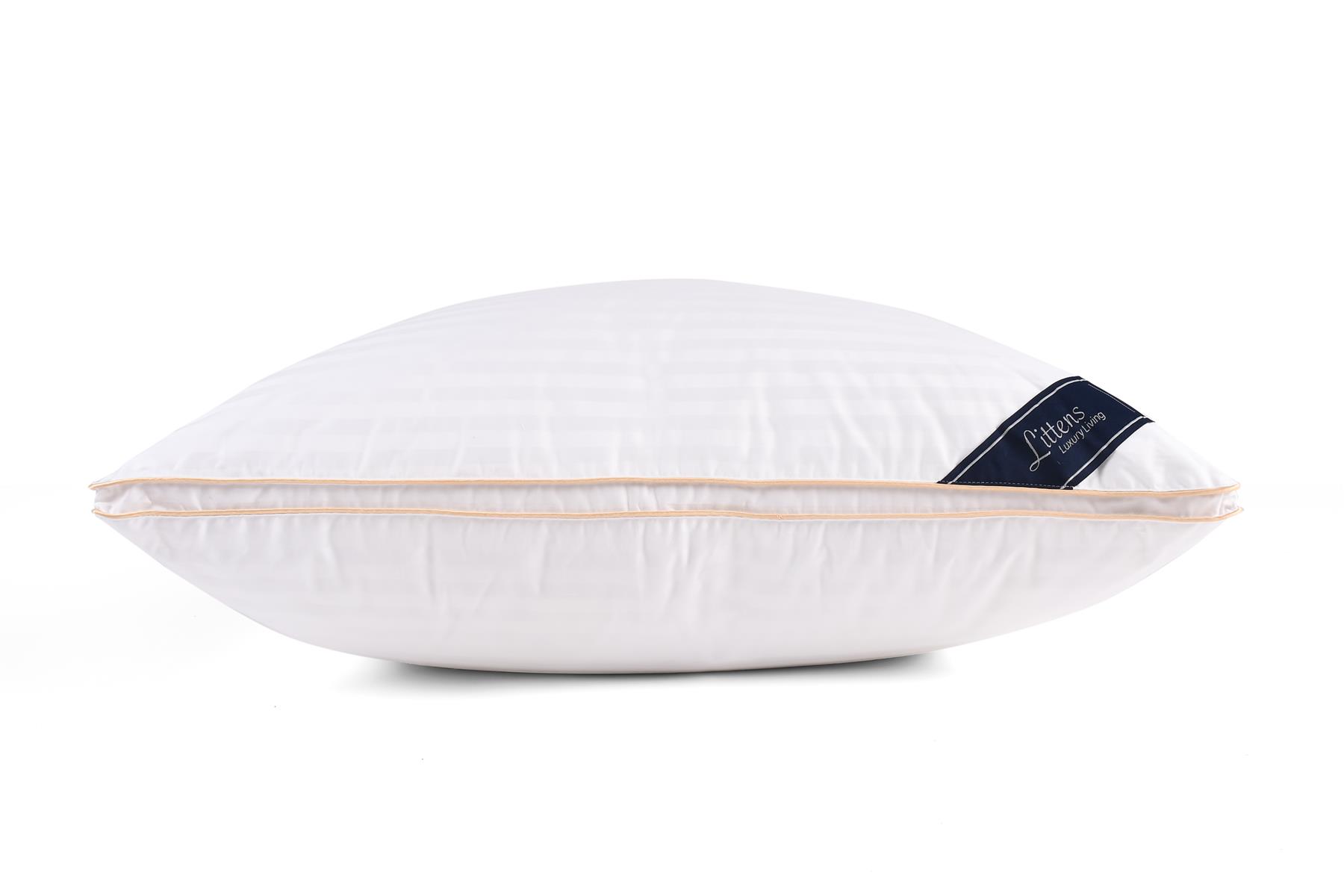65cm x 65cm Euro Continental 100% Hungarian Goose Down Square Pillow 26" x 26"