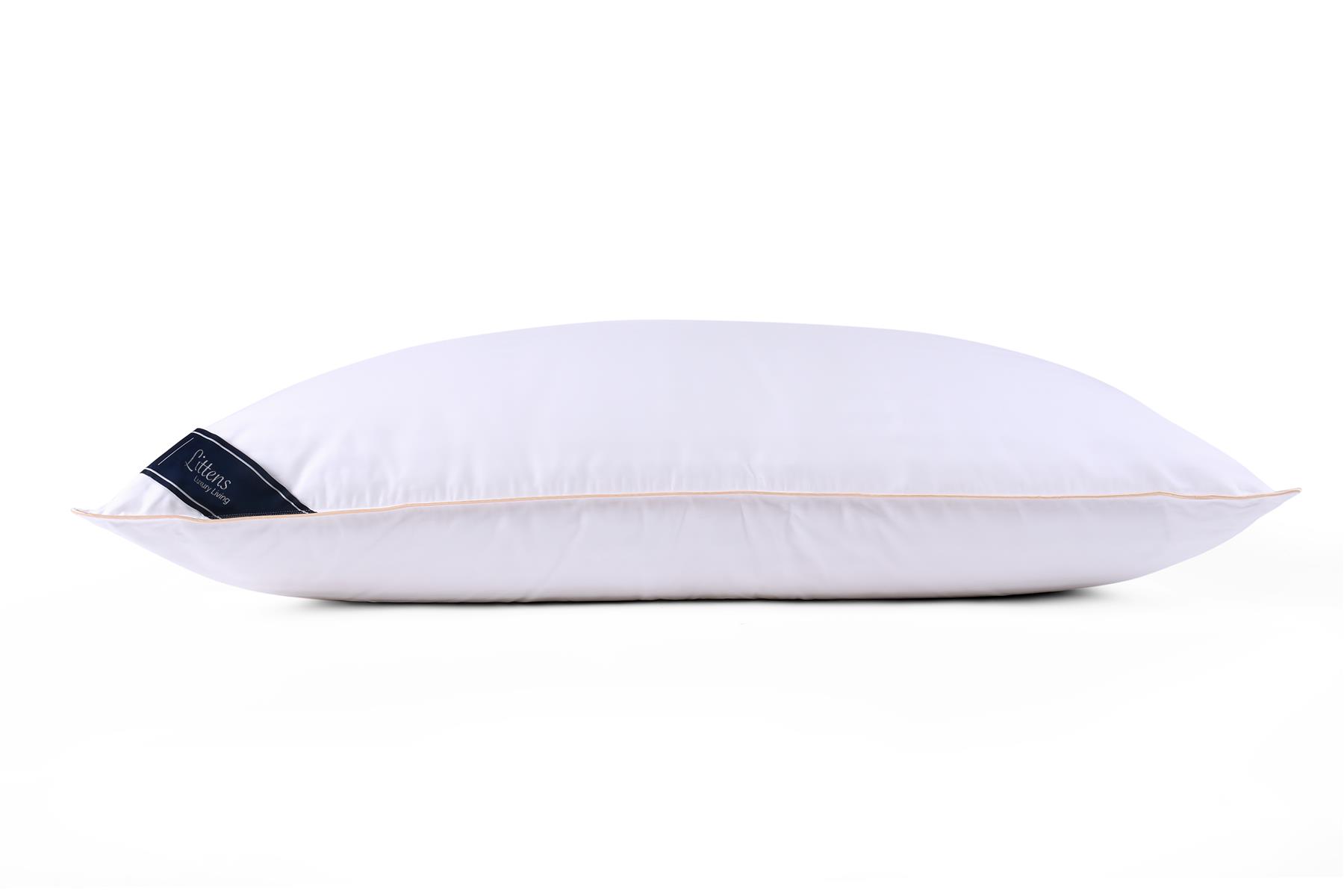 50cm x 100cm Emperor Size Premium Cotton Pair Pillows