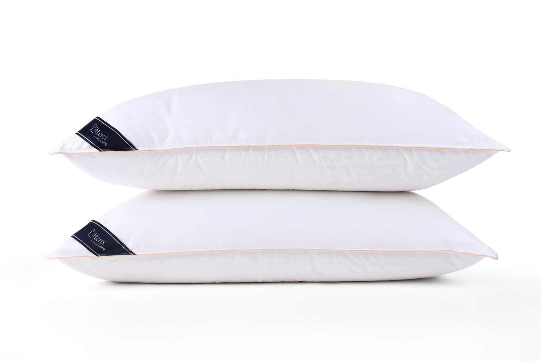 50cm x 100cm Emperor Size Premium Cotton Pair Pillows