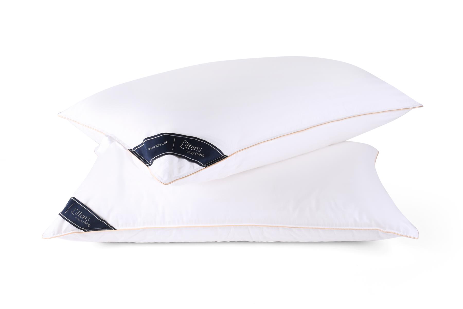 50cm x 100cm Emperor Size Premium Cotton Pair Pillows