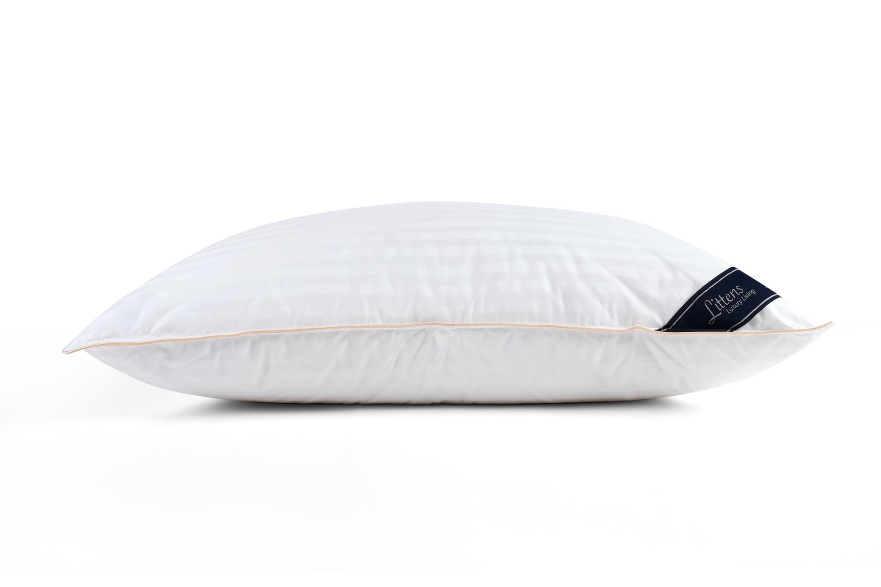 40cm x 80cm Euro Continental 100% Hungarian Goose Down Pair Pillows 16" x 32"